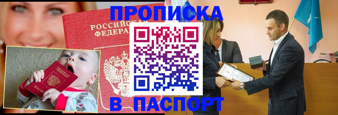 прописка поиск в Волоколамске